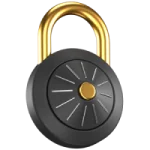 Oralyx Pulseframe 7.0